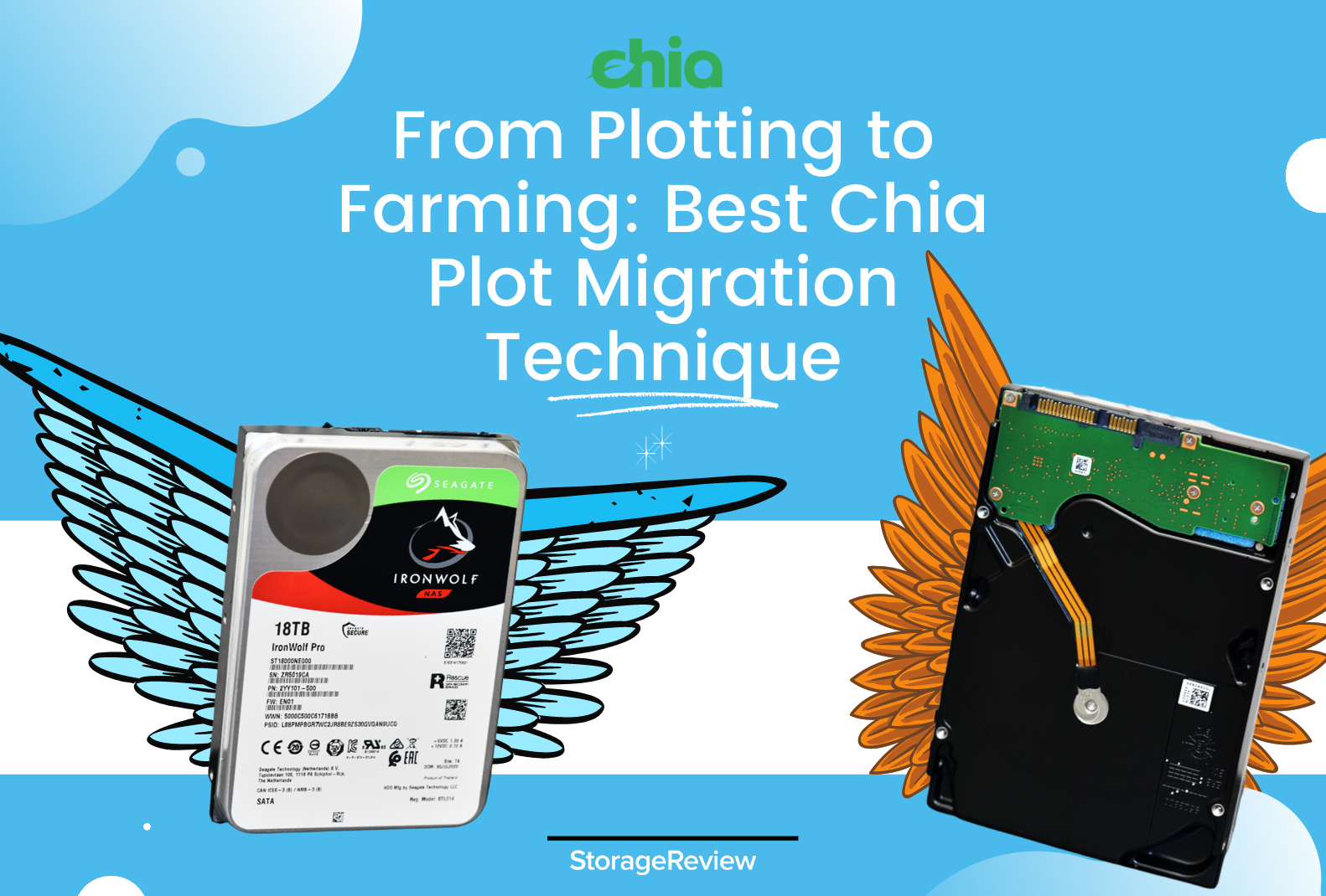 Du traçage à l'agriculture : la meilleure technique de migration des  parcelles de Chia 